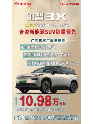 紫光苑-20251231-车业