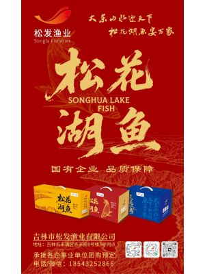 紫光苑-20260306-松花湖鱼