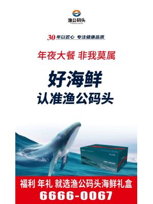 紫光苑-20261215-渔公码头